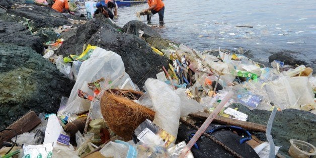 Plastic bags and other rubbish are collected from the waters and shoreline of Manila Bay on July 3, 2014 during a campaign by environmental activists and volunteers calling for a ban of the use of plastic bags. Volunteers from various environmental advocates collected and separated assorted plastic rubbish polluting Manila Bay and called for national legislation against plastic bags in observance of the 5th International Plastic Bag-Free Day on July 3. AFP PHOTO / Jay DIRECTO (Photo credit should read JAY DIRECTO/AFP/Getty Images)