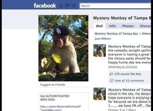 Fugitive Facebook Monkey