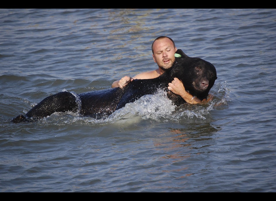 Wildlife Officer Rescues Drowning Bear