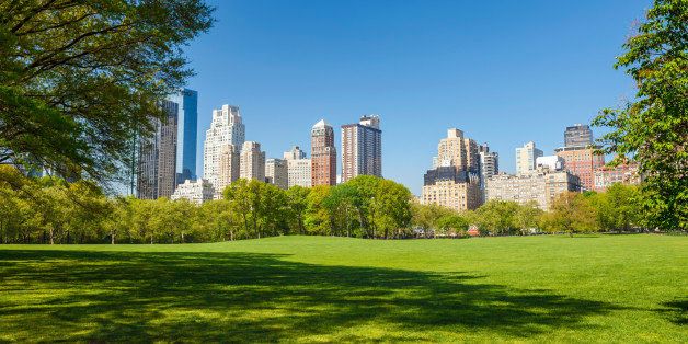 'Central park at sunny day, New York City'