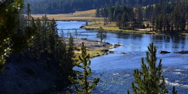 YELLOWSTONE NATIONAL PARK, WY - SEPTEMBER 25, 2014: The Yellowstone River flows through Yellowstone National Park in Wyoming.
