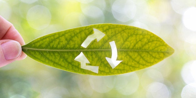 A girl holds up a leaf that has the recycle symbol cut into the leaf.