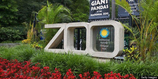 National Zoo, Washington DC
