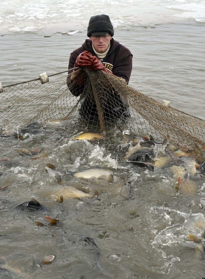 Fishing and its health benefits: The more men go fishing, the better their  mental health, study finds