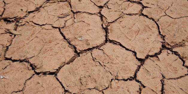 Close-up view of dry cracked soil