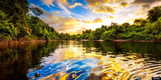 Dramatic colorful landscape on a river in the amazon state Venezuela at sunset