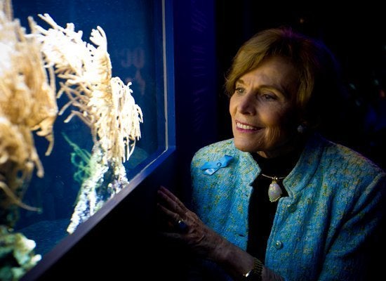 Sylvia Earle