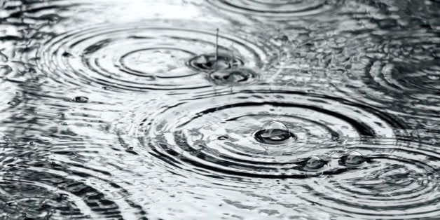 Concentric rings of ripples on a puddle