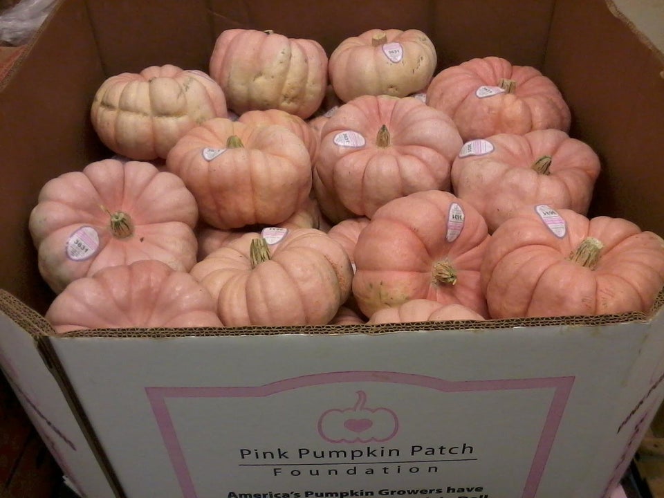 Pink Pumpkins For A Cause