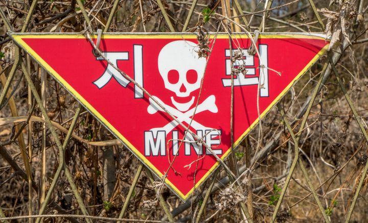 More than 1 million landmines were laid in border areas including the DMZ and the Civilian Control Zone in the South.
