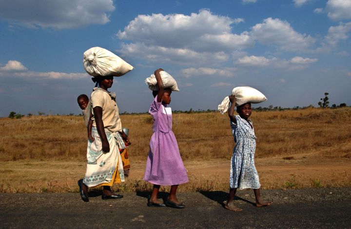 CHIPUMI, MALAWI - JUNE 29: (MALAWI FEATURE PHOTO 1 of 10) A Malawian woman and two young girls carry maize home on their heads from a small farm where they work in exchange for the food June 29, 2002 in the village of Chipumi, Malawi. Droughts and flooding within the past year has caused many Malawians to be unable to purchase seeds to grow their own food and, as a result, are suffering from malnutrition because of the ongoing food shortage in the region. The World Food Program estimates that approximately 3.2 million people in Malawi alone will be affected before March 2003. U.S. lawmakers expressed support for helping southern Africa avert a famine that threatens nearly 13 million people. The lawmakers also accused regional leaders of aggravating the food crisis originally caused by floods and drought. (Photo by Ami Vitale/Getty Images)