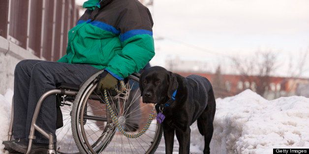 Woman with multiple sclerosis in a wheelchair with a service dog in winter snow