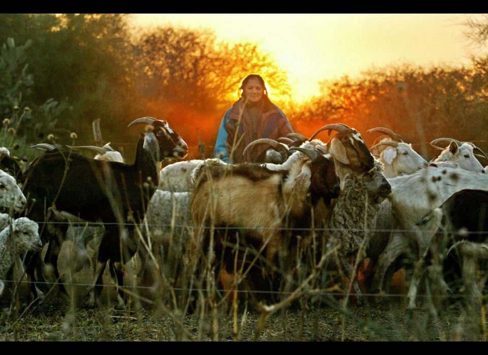 Heifer International