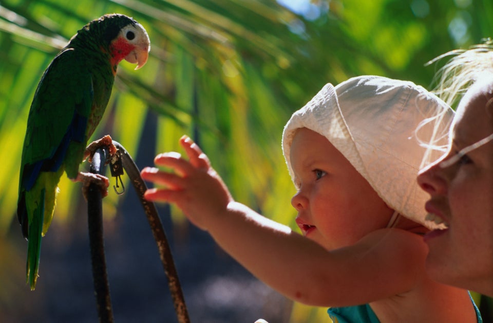 The 50 Best Places In The World To Be A Mother | HuffPost Impact