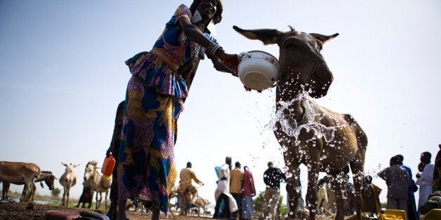 Women in colorful, flowing fabrics gather around a shared human and animal watering hole in central Africa where water is an incredibly valuable resource.