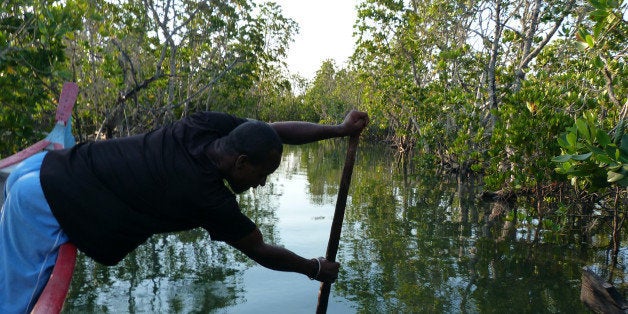 A fisherman crosses the mangrove on his canoe on November 11, 2011 in Belo-sur-Mer, western Madagascar. Mangroves spread over thousands of hectares of Madagascar's west coast, rich with fish and crabs. But fishermen have declared some areas off limits, hoping to ensure their future catches. 'The communities chose to close several sites for four months of the year, to allow the crabs and fish to reproduce,' said Thomas, an official with Blue Ventures, a British marine conservation group that backs the project. Three sites totalling 200 hectares around the town of the Belo-sur-mer were chosen by the communities to pilot the project in the coastal forests that cover 4,000 square kilometres (1,500 square miles) of Madagascar. AFP PHOTO/ ALINE RANAIVOSON***TO GO WITH AFP STORY BY ALINE RANAIVOSON*** (Photo credit should read ALINE RANAIVOSON/AFP/Getty Images)