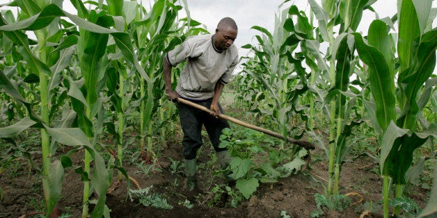 **ADVANCE FOR MONDAY, DEC. 10** A farmer prepare water channels in his maize field, Tuesday, July 17, 2007 in Ngiresi near th