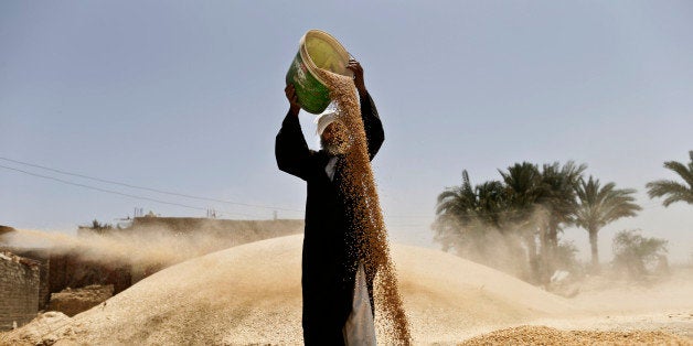 FILE - In this Sunday, May 19, 2013 photo, Hassan, a 65 year-old farmer harvests wheat on field in Fayoum, Egypt. Increasingly unaffordable subsidy programs pose a growing challenge across the Middle East and North Africa, with governments caught between demands by international lenders to scale back economically toxic handouts and fears of a popular backlash.(AP Photo/Hassan Ammar, File)