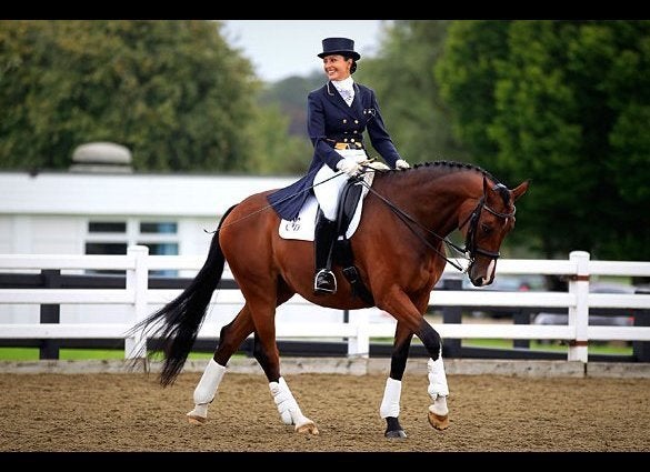 Dressage