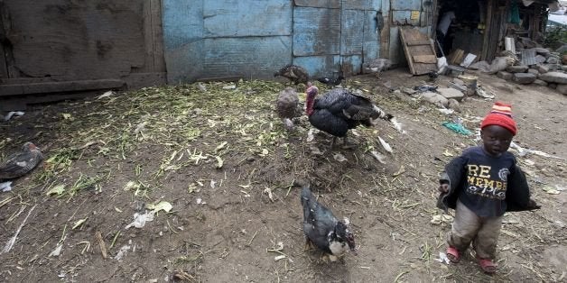 A toddler walks by a turkey and ducks in the slum of Mathare, one of the poorest slums in Nairobi, on May 28, 2014. Mathare i