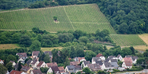 Bad Kreuznach, Germany - July 09: A vineyard next to a forest in front of a village on July 09, 2015 in Bad Kreuznach, Germa