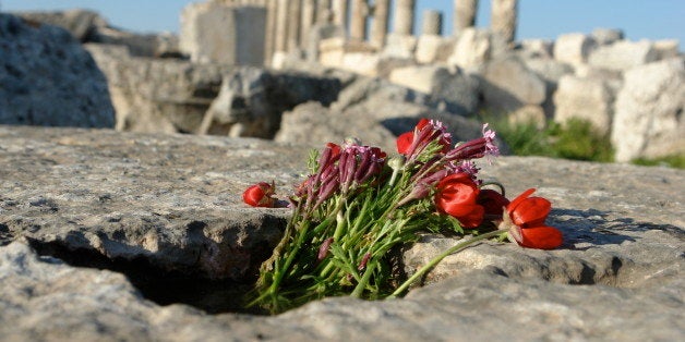 This was a bunch of wild flowers left behind in a pool of water in Apamea, just outside Hama in central western Syria.