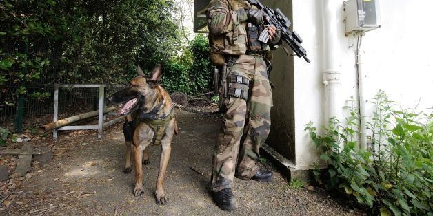TO GO WITH AFP STORY BY CHRISTIAN GAUVRY French army Special Force soldier of the Kieffer commando participates in a training exercise with his military dog on May 20, 2014 in Lanester, near Lorient, western France. One of the six commando groups bears the name of Kieffer Commando which comes from a small commando force led by Commandant Philippe Kieffer who landed in June 1944 near Ouistreham, on a beach codenamed Sword Beach during WWII. AFP PHOTO / JEAN-SEBASTIEN EVRARD (Photo credit should read JEAN-SEBASTIEN EVRARD/AFP/Getty Images)