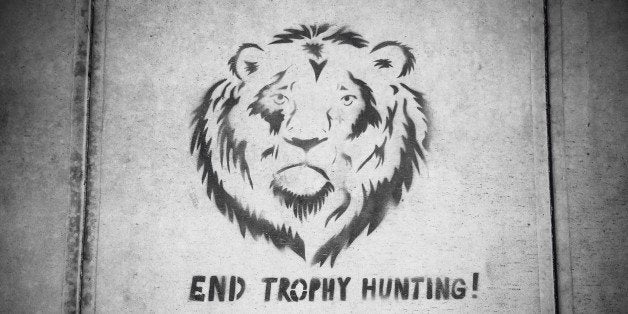 September 20, 2015 In reaction to the recent killing of Cecil the Lion in Zimbabwe, a stencil art protest sign appears on the sidewalk in Santa Barbara, California USA asking to end trophy hunting. 