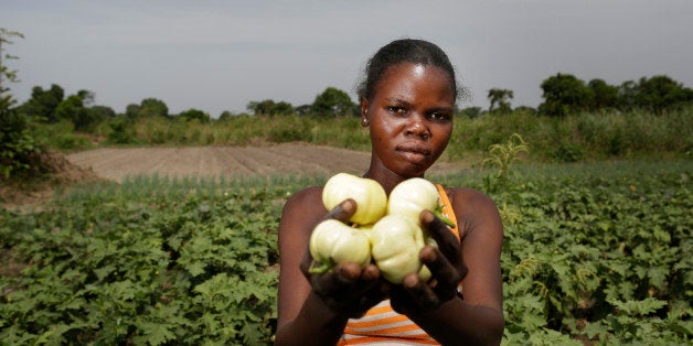 BANGUI, CENTRAL AFRICAN REPUBLIC - MARCH 13: A young African woman at work in the fields, checking the crops to be harvested just outside Bangui pictured on March 13, 2014 near Bangui, Central African Republic. (Photo by Thomas Koehler/Photothek via Getty Images) 