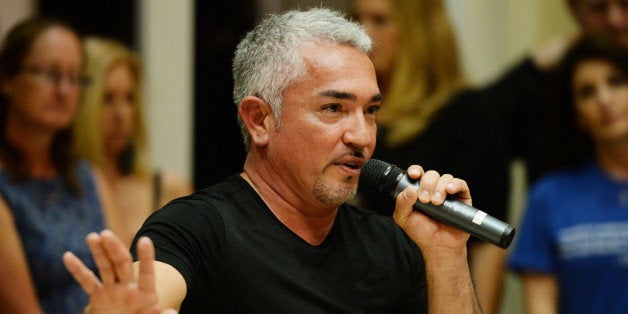 PLANTATION, FL - NOVEMBER 08: Cesar Millan attends Cesar Millan's Pawsitive Leadership Event on November 8, 2014 in Plantation, Florida. (Photo by Larry Marano/Getty Images)