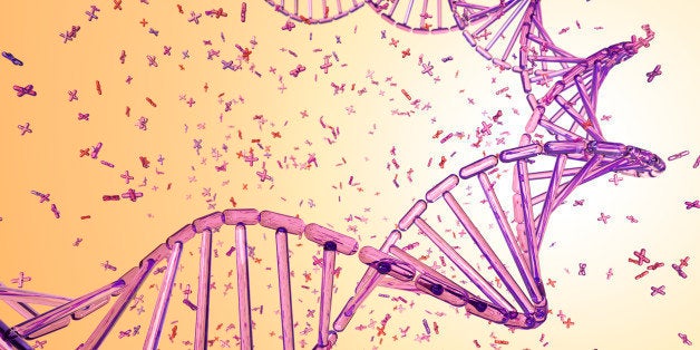 A DNA strand made from pink X Chromosomes against a graduated yellow background