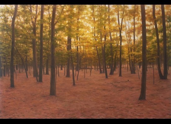 <strong>April Gornik</strong> can still make an "ordinary landscape" a very extraordinary image. She manages to invest her vi