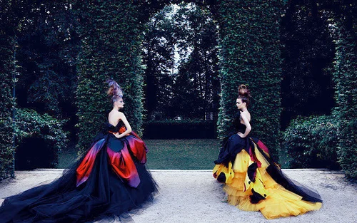 洋書 Dior Couture Patrick Demarchelier Dior: Couture: Demarchelier, Patrick, Sischy, Ingrid