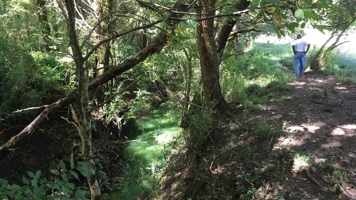 Tennessee Urban Farm and Forest (TUFF)