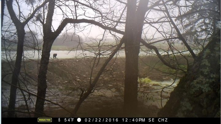 Nelson Brooke, the Black Warrior Riverkeeper, set up a hidden camera facing Southeastern Cheese’s spray field. He said the footage shows an employee of the company opening a gate valve to a pipeline and releasing a rush of green liquid contaminated with whey in the area near Cottonwood Creek. 