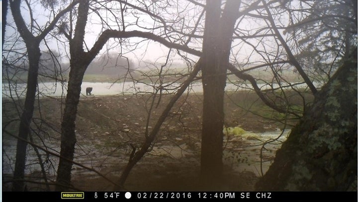 Nelson Brooke, the Black Warrior Riverkeeper, set up a hidden camera facing Southeastern Cheese’s spray field. He said the fo