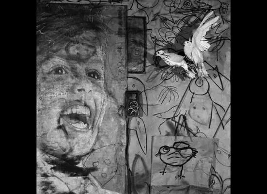 Roger Ballen Photographs 1969 – 2009' At Marta Herford Gallery