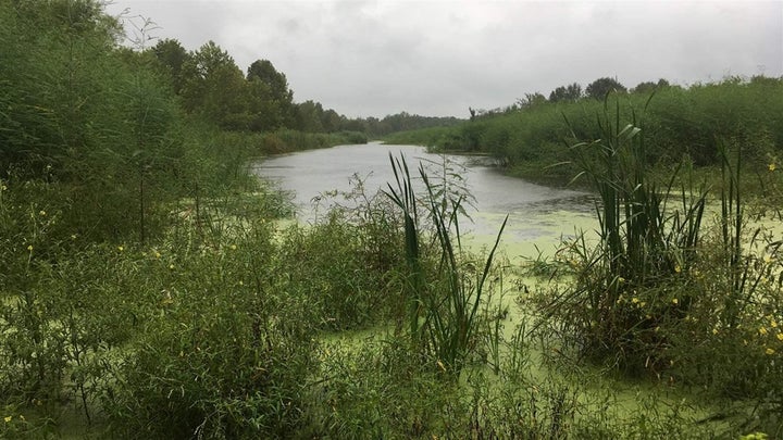 Spray fields should be relatively dry land that absorbs water while the rest evaporates. But in Uniontown, the water is pooli