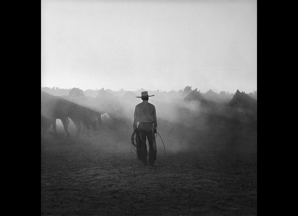 "The Last Cowboy" by Adam Jahiel