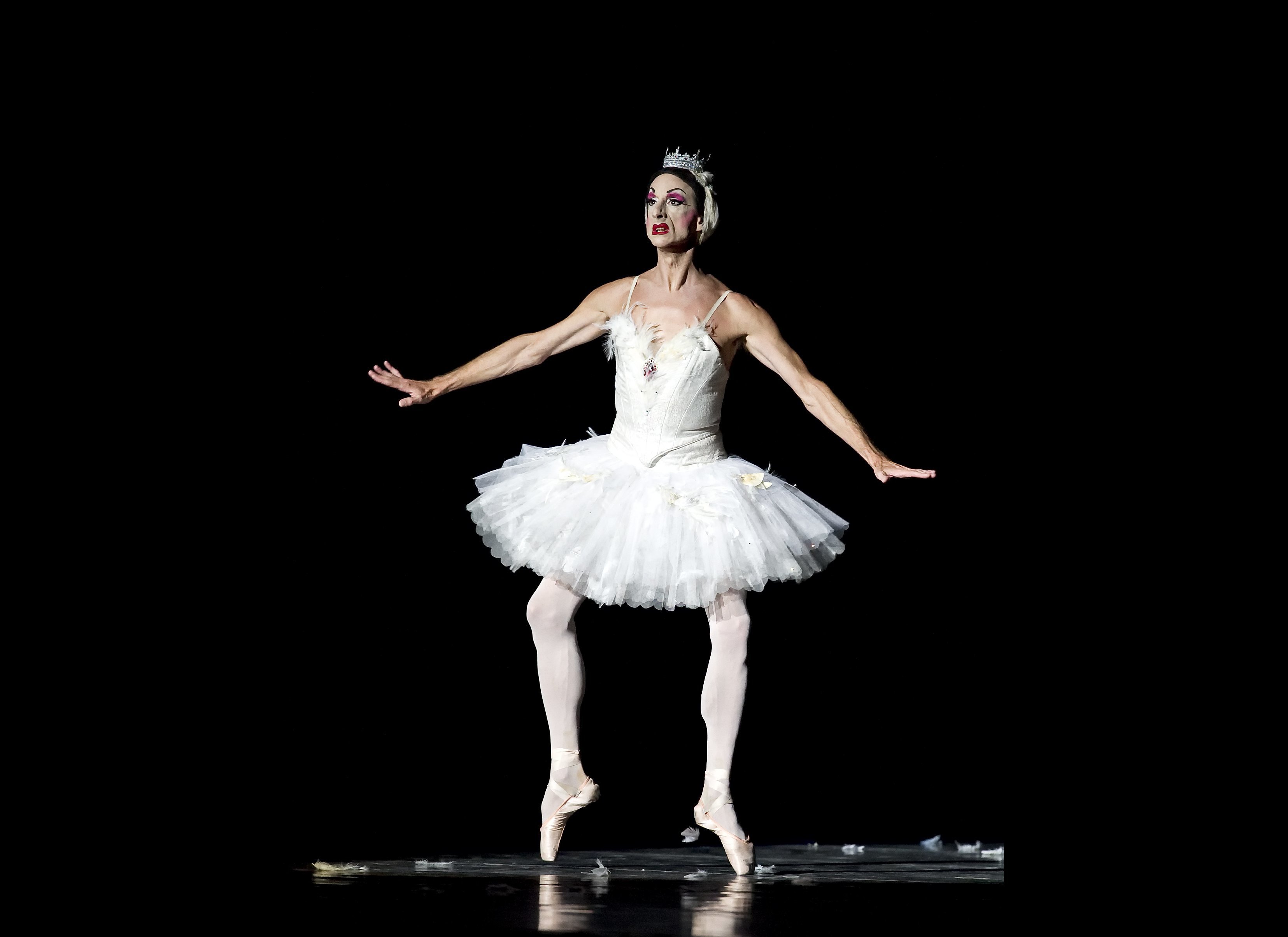 Four Minutes a Dying Swan: Anna Pavlova and Becoming the Symbol of the New  Russian Ballet - Detroit Opera