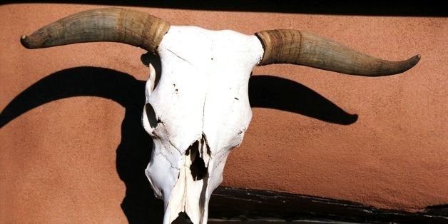 F364262 02: A skull hangs on the wall of an adobe structure at Ghost Ranch, New Mexico. February 9, 2000. The ranch, summer home of preeminent American Painter Georgia O''Keeffe. Ghost Ranch is where O''Keeffe would explore the beautiful and mysterious New Mexico landscape later transform her discoveries into masterpeices of American Art. (Photo by Joe Raedle)