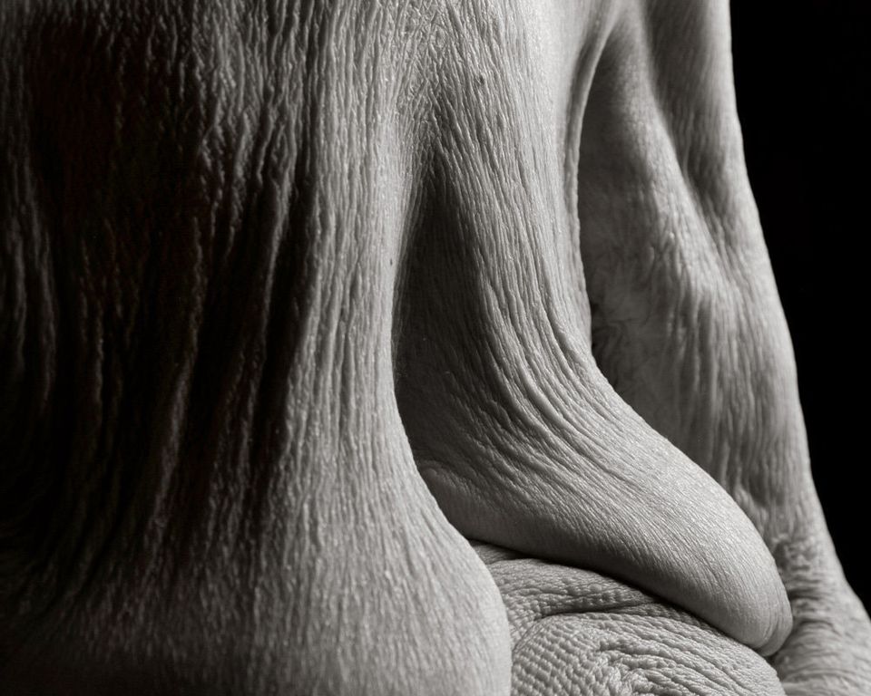 This Is A Nude 100 Year Old Body And Its Beautiful Huffpost