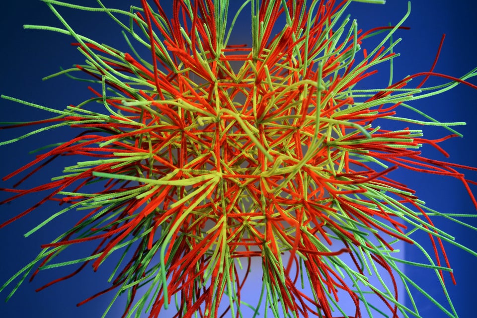 Identical Twins Combine Art And Math In Hypnotic Exhibition | HuffPost ...