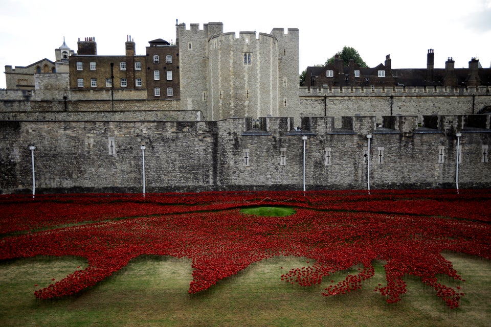 tower of london poppies birds eye view