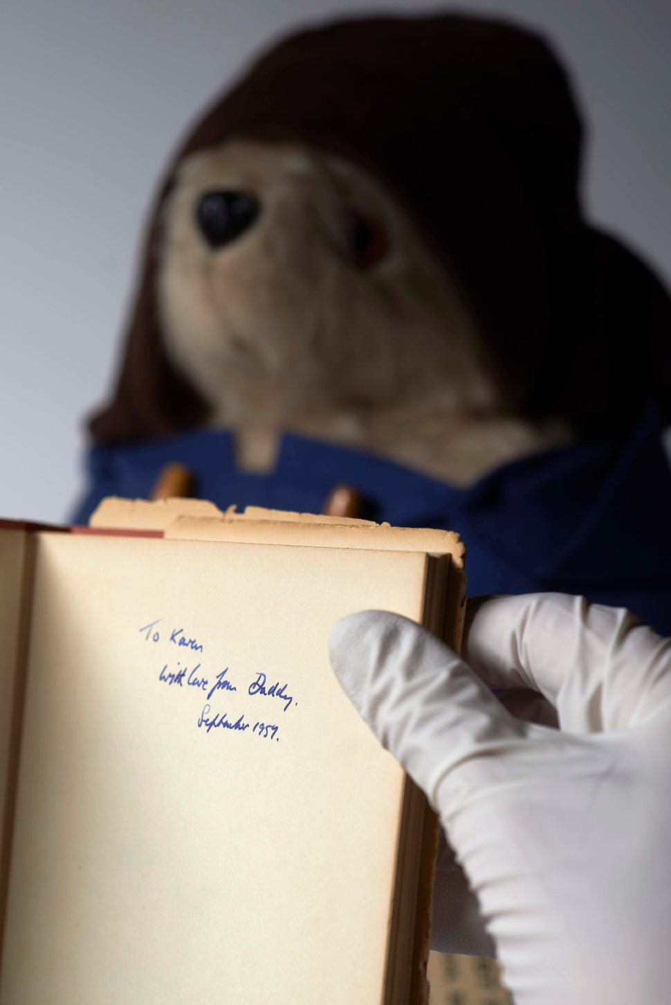 special edition paddington bear