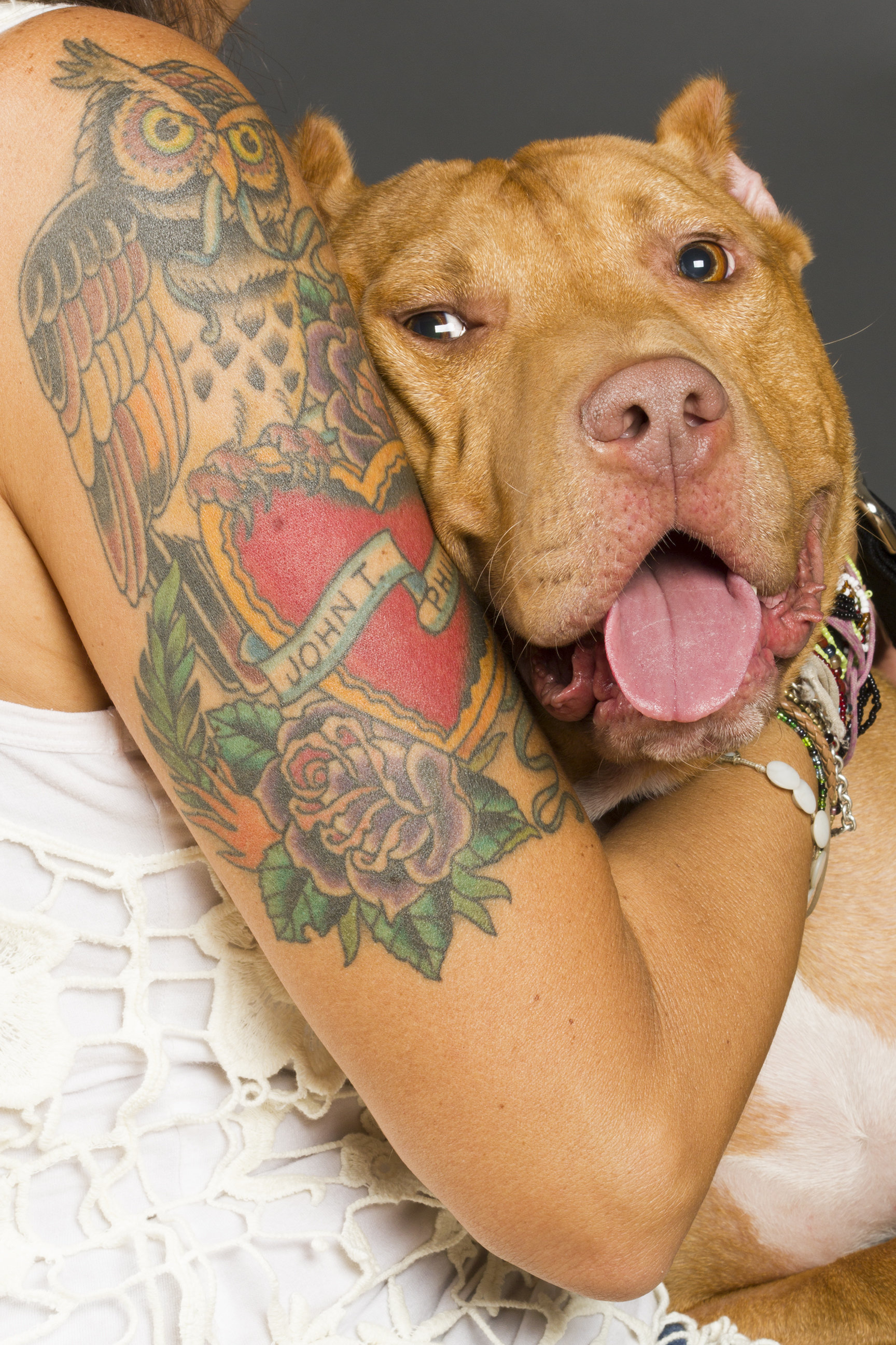 Tattoo uploaded by Tattoodo • Pitbull tattoo by torrestattoo #torrestattoo # pitbull #blackandgrey #realism #dogt… | Dog tattoos, Pitbull tattoo, Dog  portrait tattoo