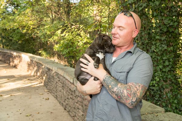 Moving Photos Of Rescued Dogs And Their Tattooed Humans Remind Us To ...