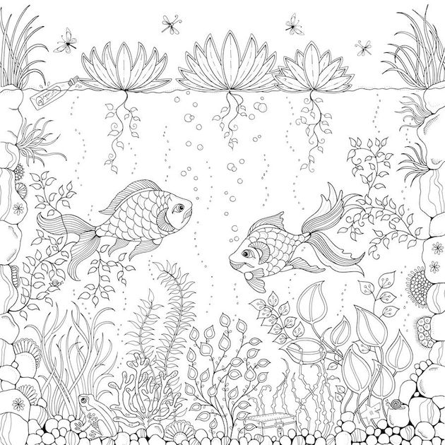 Download 10 Adult Coloring Books To Help You De Stress And Self Express Huffpost