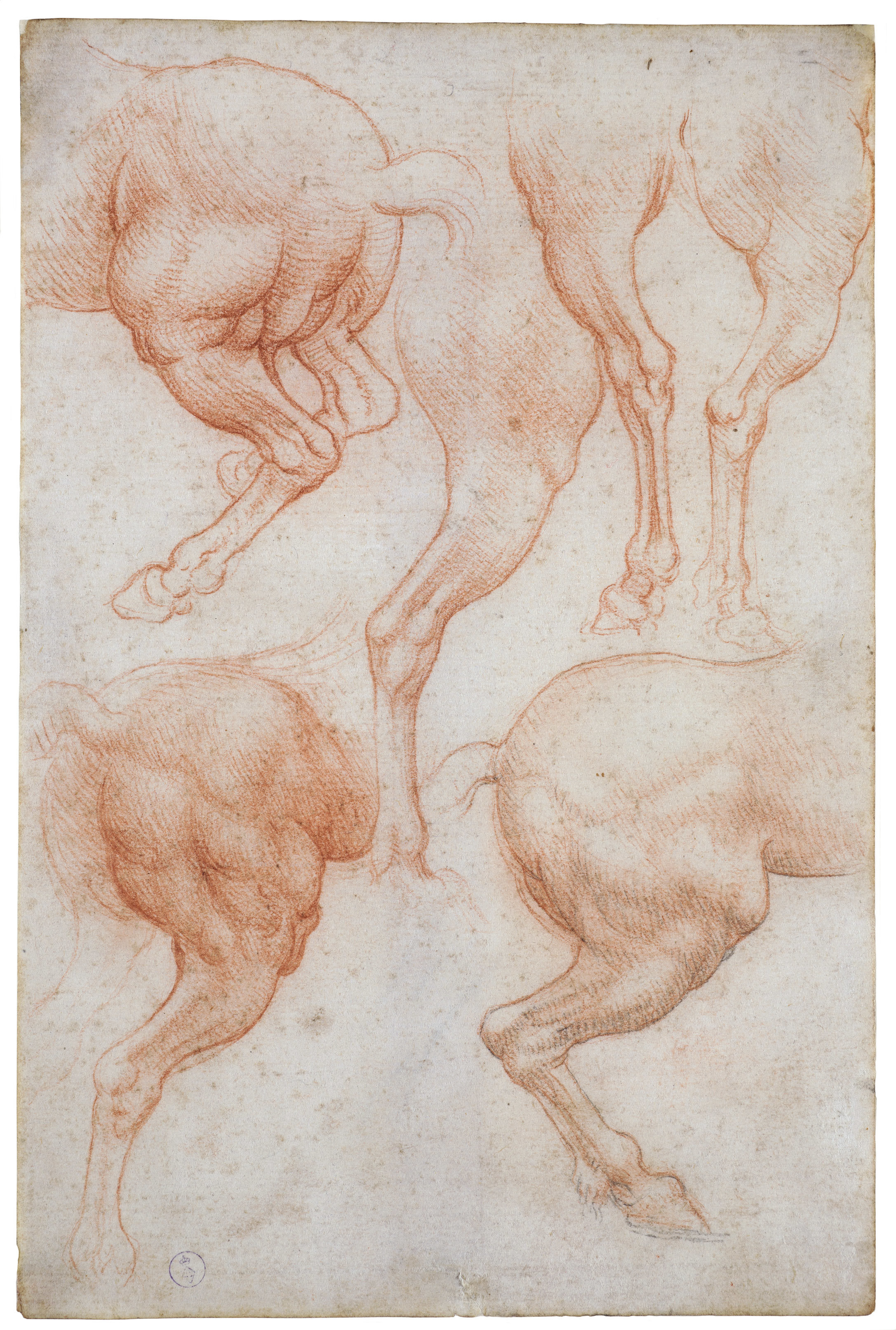 Леонардо да Винчи зарисовки лошадей