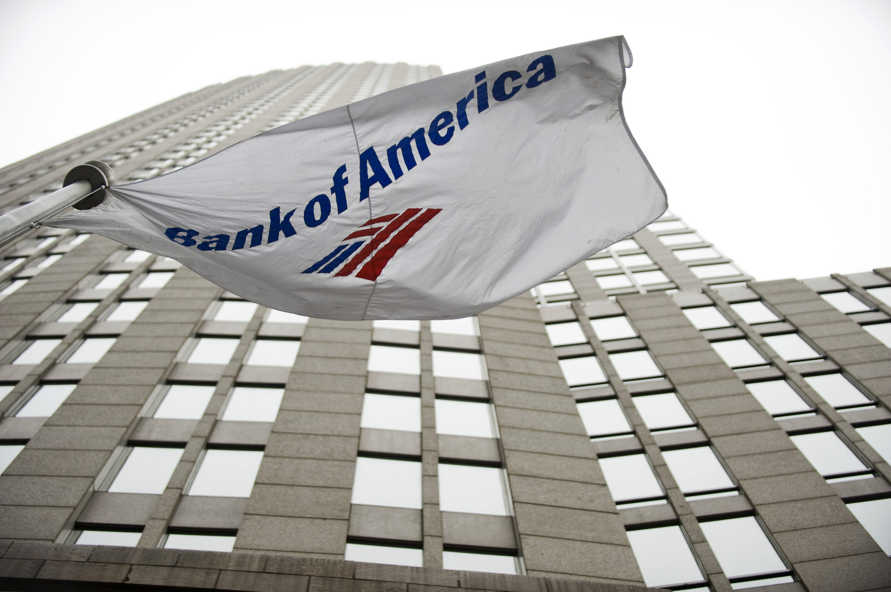 Bank Of America Layoffs: Rival Banks Say They're Being Flooded With ...